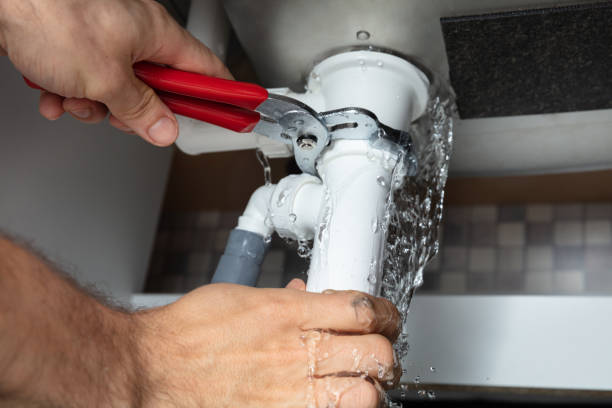 Best Carpet water damage restoration  in Lenoir, NC