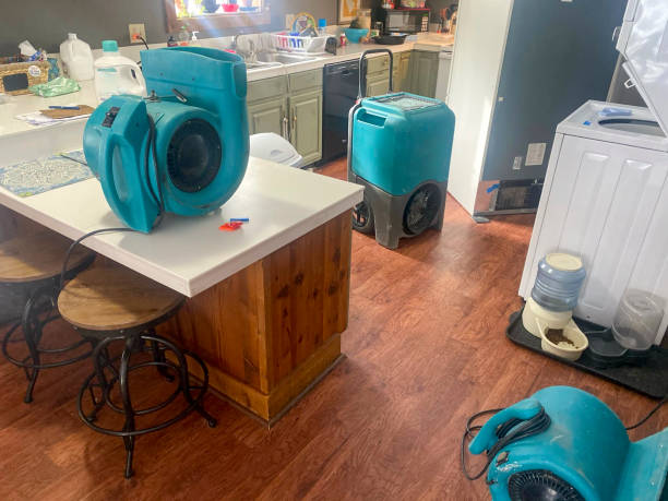 Best 24/7 water damage repair  in Lenoir, NC