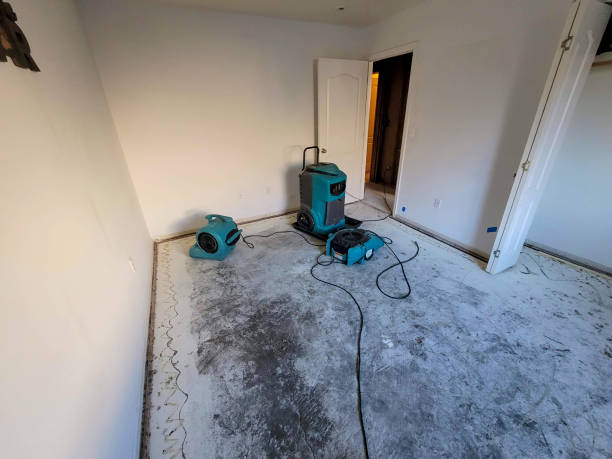 Best Emergency water damage restoration  in Lenoir, NC