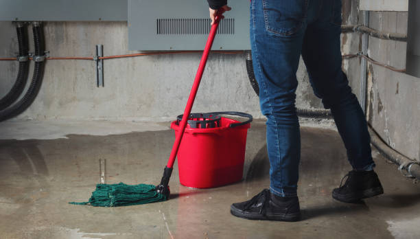 Best Local water damage restoration  in Lenoir, NC