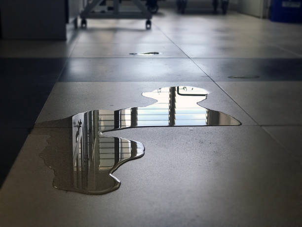 Best Water damage cleanup near me  in Lenoir, NC