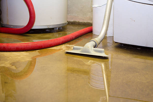 Best Professional water damage repair  in Lenoir, NC