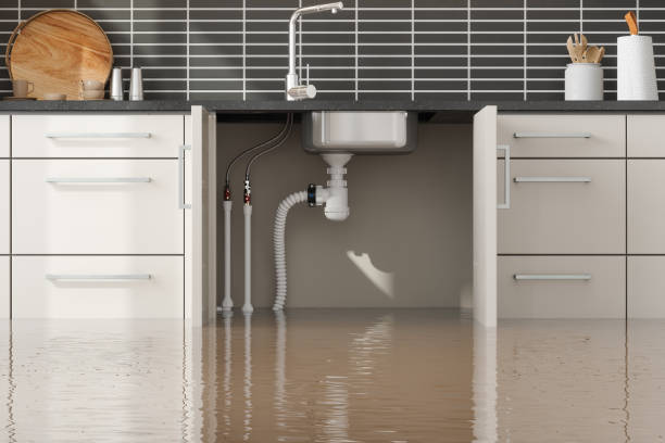 Best Local water damage restoration  in Lenoir, NC