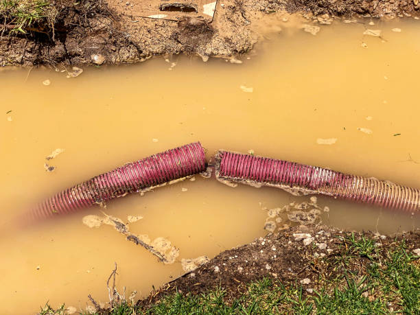 Best Water damage restoration near me  in Lenoir, NC