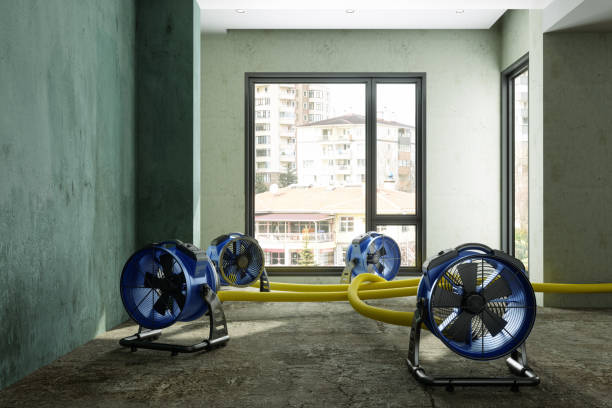 Best Fire Damage Restoration  in Lenoir, NC