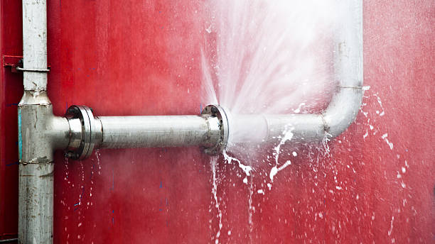 Best Basement water damage restoration  in Lenoir, NC