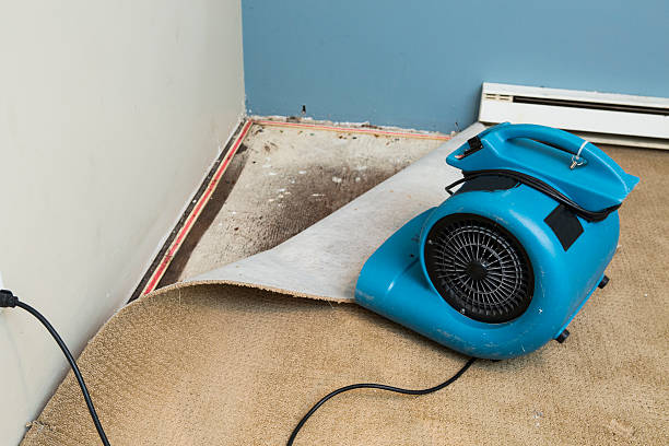 Best Water damage restoration experts  in Lenoir, NC
